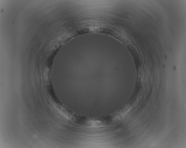 X0000062850650200601131351