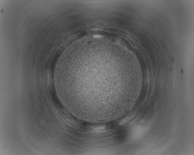 X0000062850651200601131351