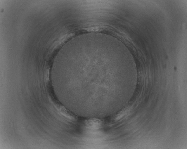 X0000062850652200601131351