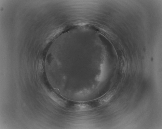 X0000062850654200601131351