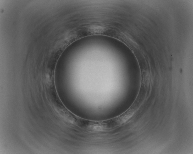 X0000062850655200601131351