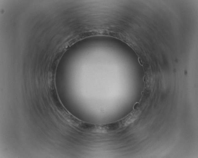 X0000062850656200601131351