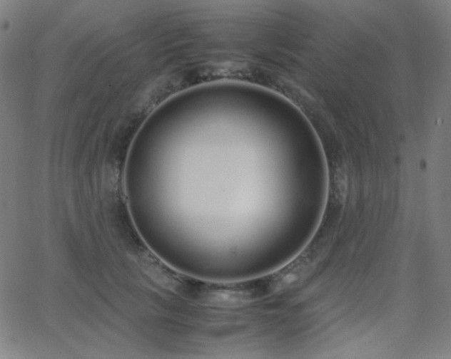 X0000062850657200601131351