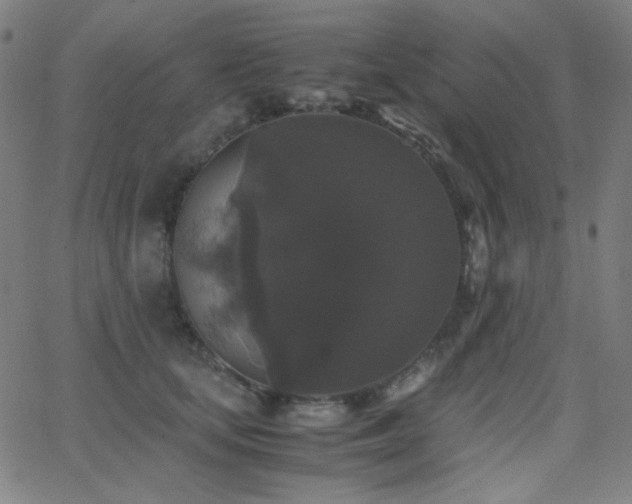 X0000062850659200601131351