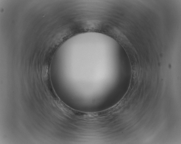 X0000062850660200601131351