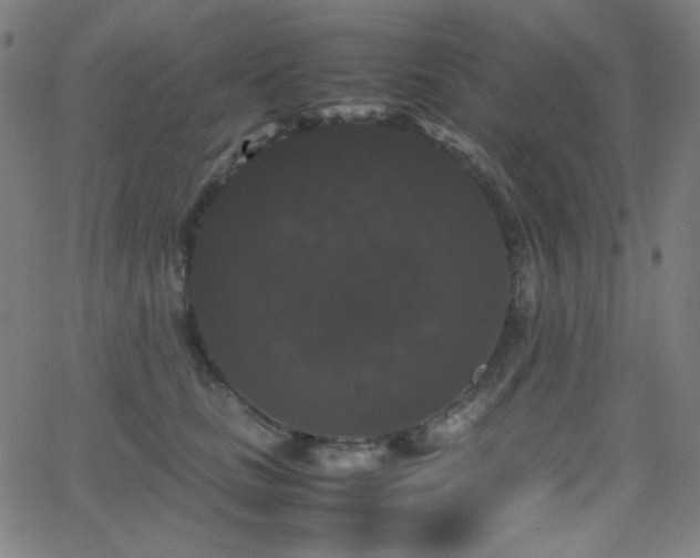 X0000062850661200601131351