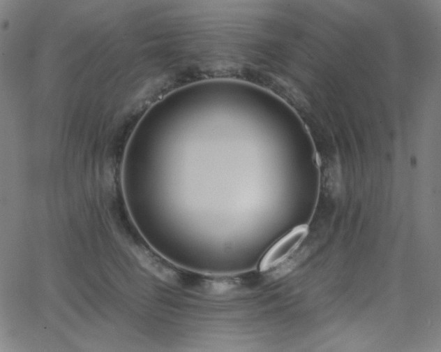 X0000062850662200601131351