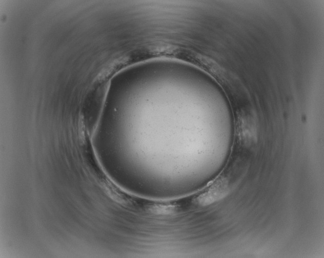 X0000062850664200601131351