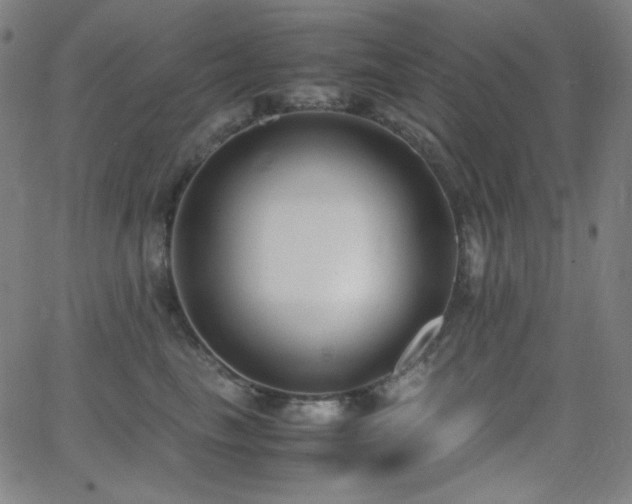 X0000062850665200601131351