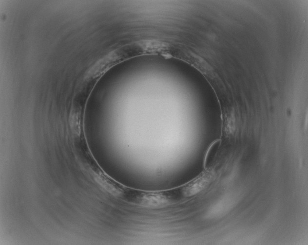 X0000062850666200601131351