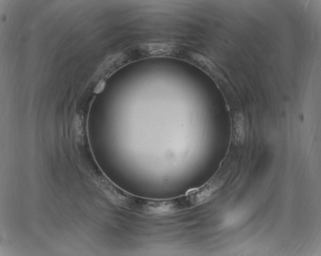 X0000062850667200601131351