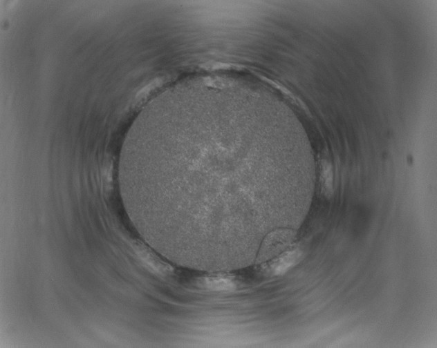 X0000062850668200601131351