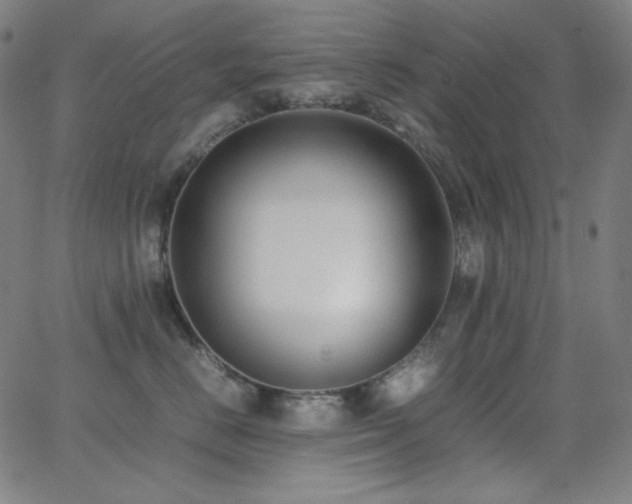 X0000062850670200601131351