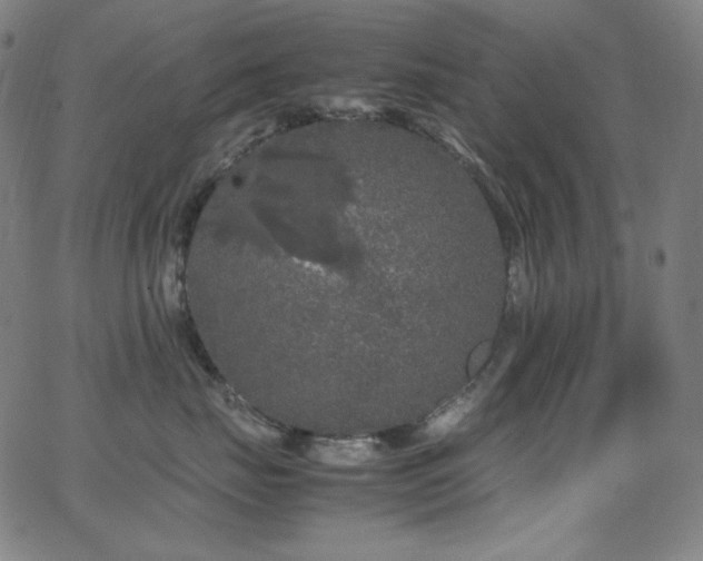 X0000062850671200601131351