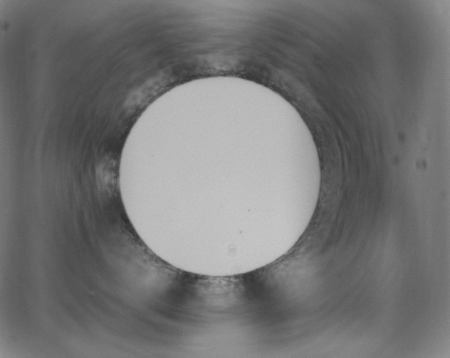 X0000062850672200601131351