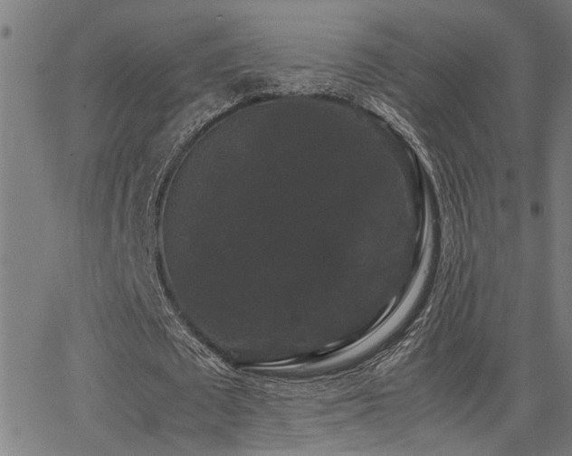 X0000062850673200601131350