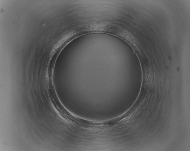 X0000062850674200601131350