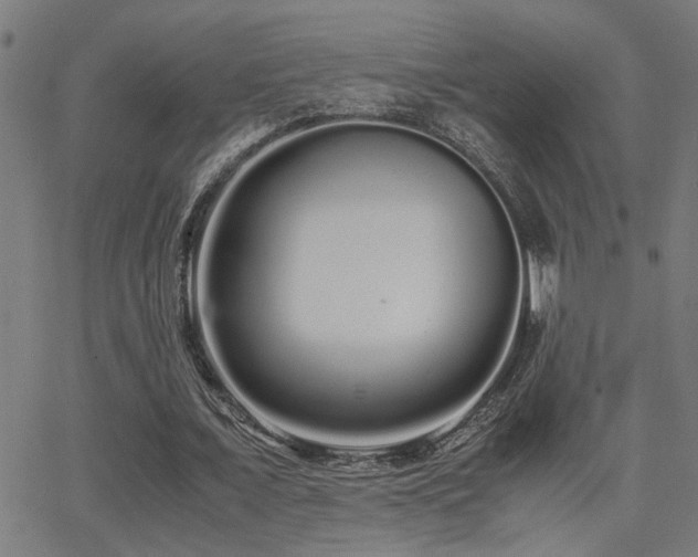 X0000062850675200601131350