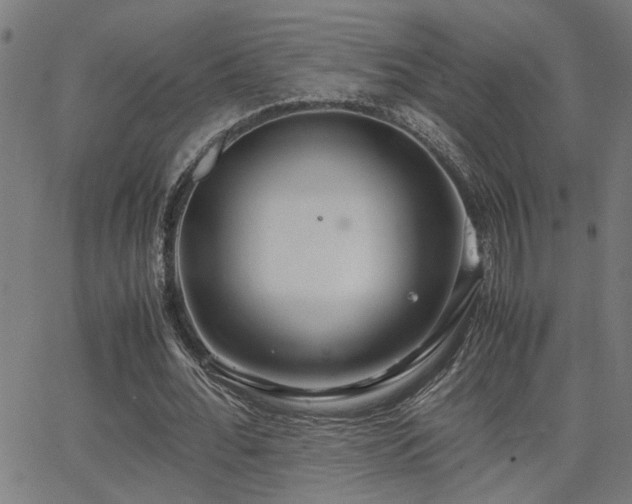 X0000062850676200601131350