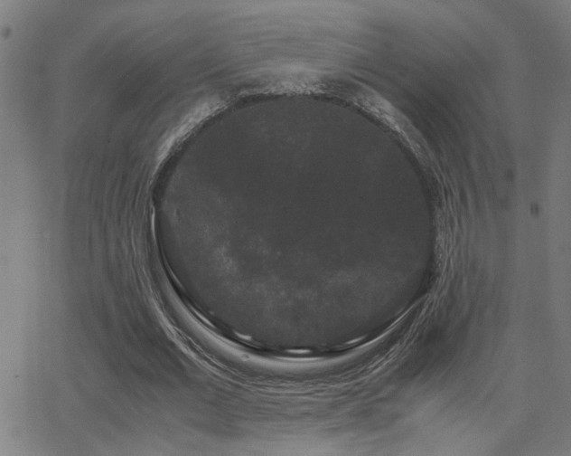 X0000062850677200601131350