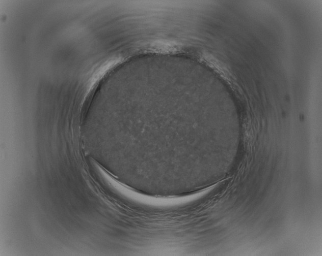 X0000062850679200601131350