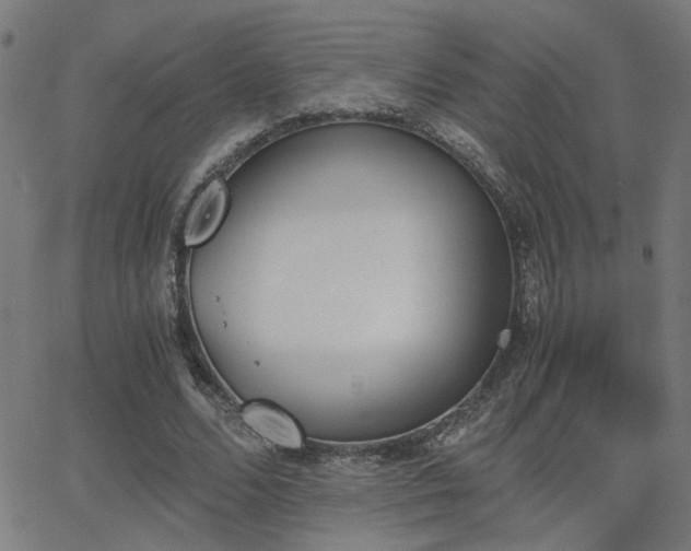 X0000062850680200601131350