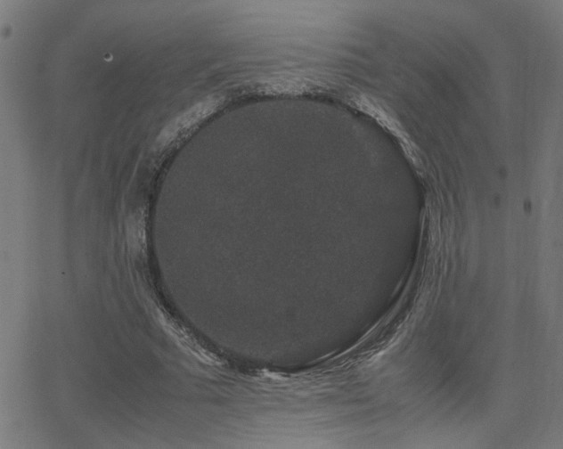 X0000062850681200601131350