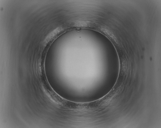 X0000062850682200601131350