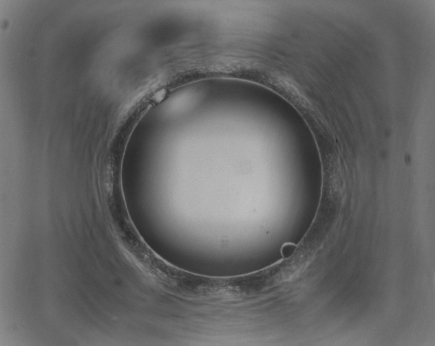 X0000062850683200601131350