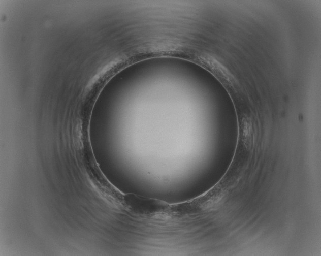 X0000062850684200601131350