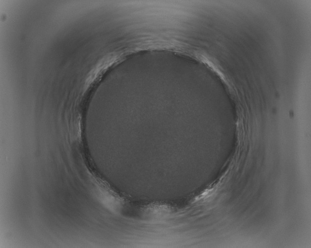 X0000062850685200601131350