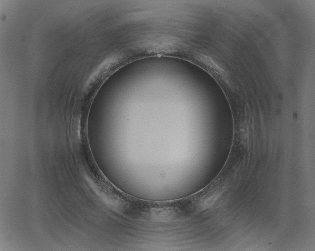 X0000062850686200601131350