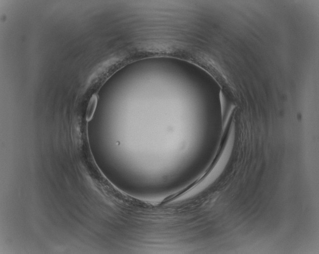 X0000062850688200601131350