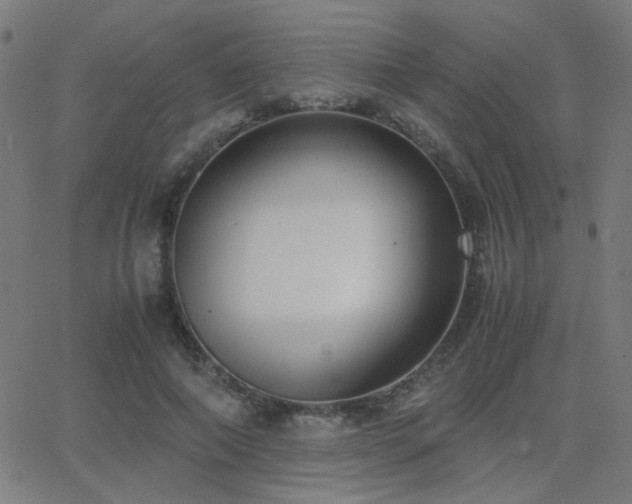 X0000062850690200601131350