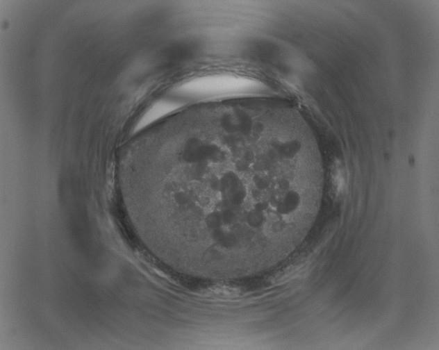 X0000062850691200601131350