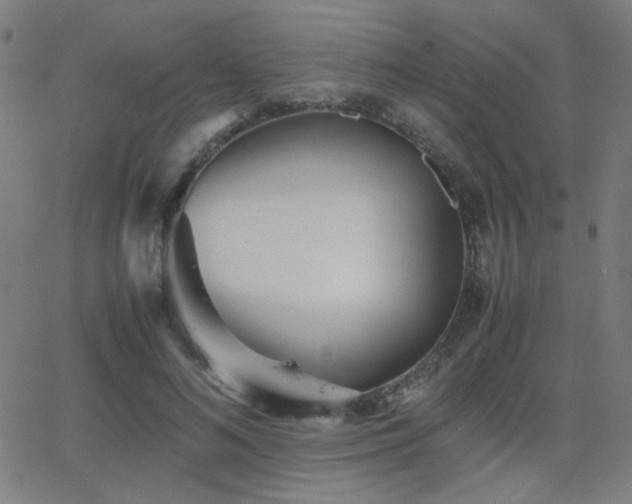 X0000062850692200601131350