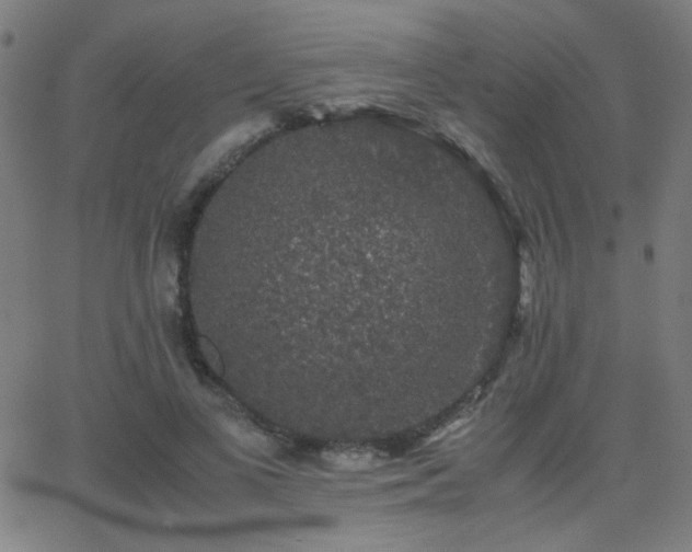 X0000062850693200601131350