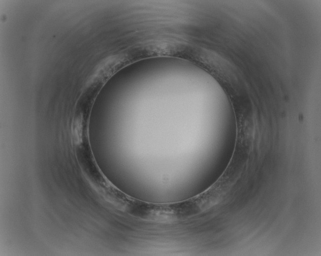 X0000062850694200601131350