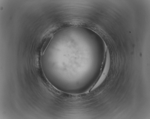 X0000062850696200601131350