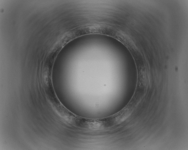 X0000062850698200601131350