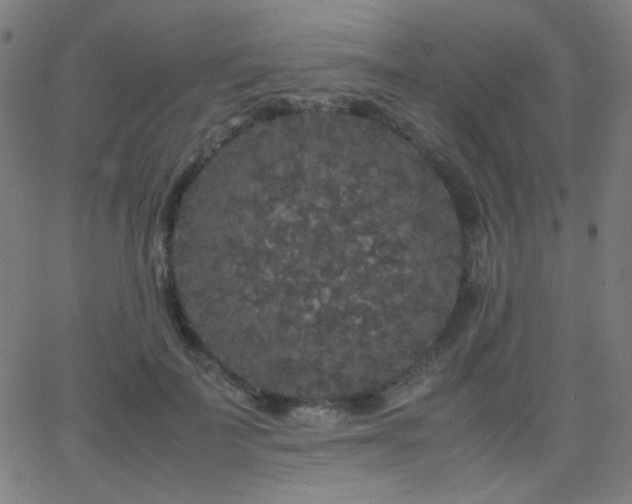 X0000062850699200601131350