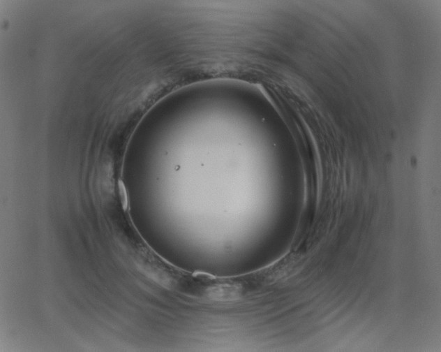 X0000062850700200601131350