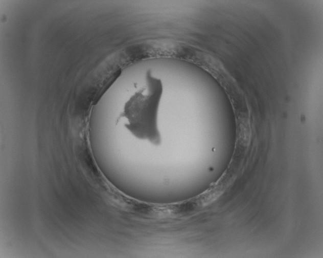 X0000062850701200601131350