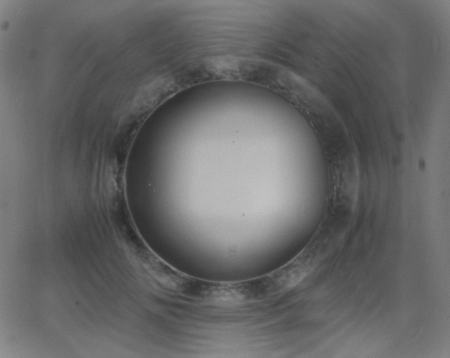 X0000062850702200601131350