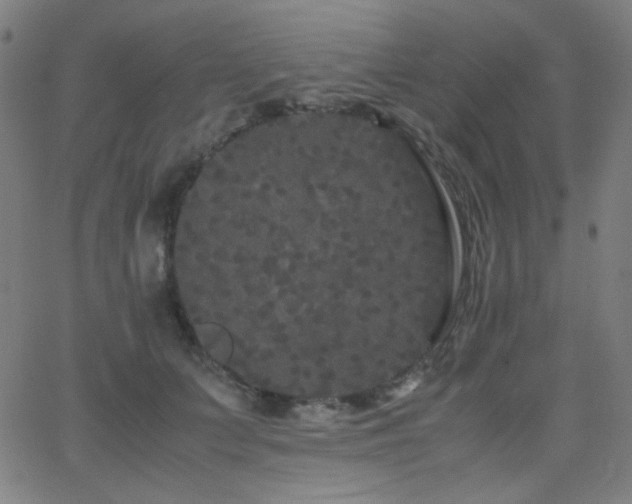 X0000062850703200601131350