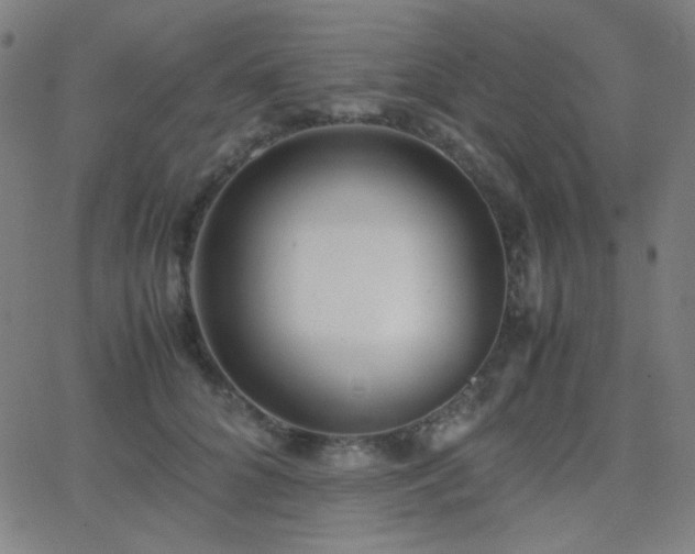 X0000062850704200601131350