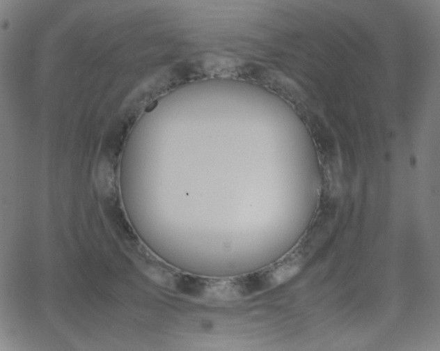 X0000062850705200601131350