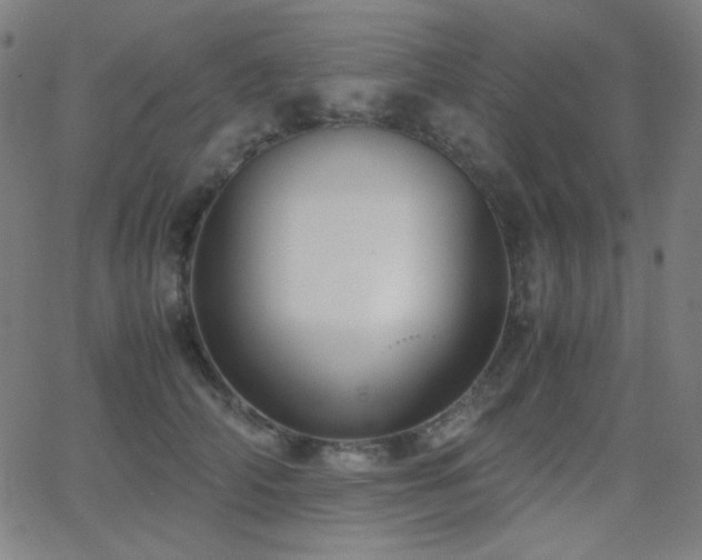 X0000062850706200601131350