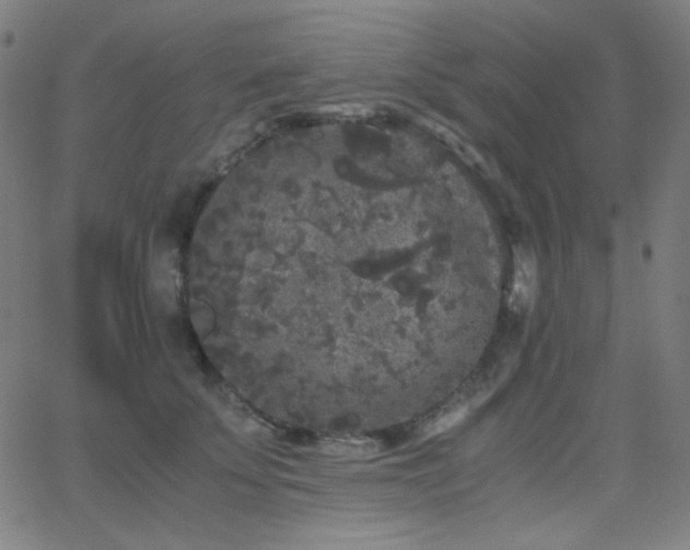 X0000062850707200601131350