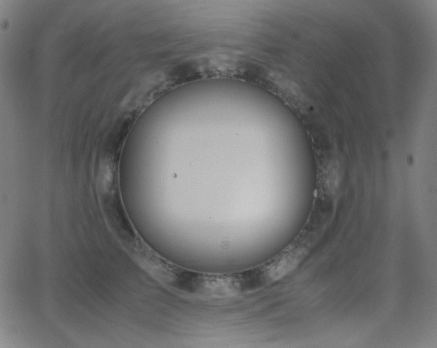 X0000062850709200601131350